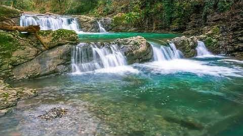 Phong cảnh thác nước thiên nhiên chim hót du dương thác nước trong Xanh