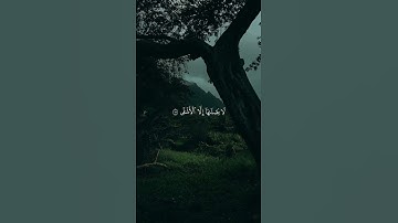 وما يغني عنه ماله إذا تردى" ياسر الدوسري #القرآن_الكريم #قرآن #تلاوات