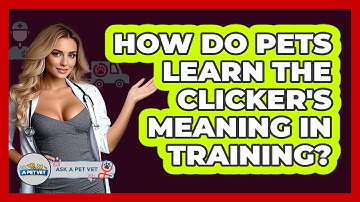 How Do Pets Learn The Clicker