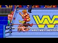 Jake Roberts and Hulk Hogan Playthrough | WWF Wrestlefest (Arcade)