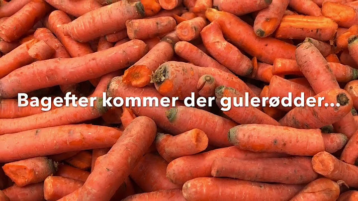 Aften foder rutine for rideskole ponyer-og heste