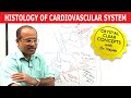 Histology of Cardiovascular System