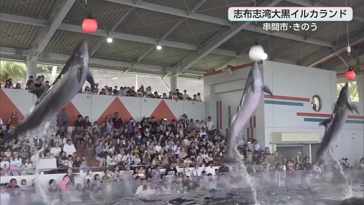 Shibushiwan Daikoku Dolphin Land Bustles with 15th Anniversary