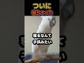 結局寝る。