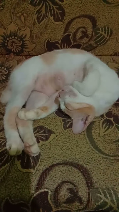 tidur dulu ah,capek pura pura bahagia😁