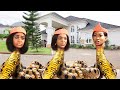 The 3 dangerous anaconda princesses a must watch 2023 epic movie part 2  a nigerian movies