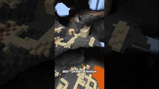 minecraft god seed in java #shorts