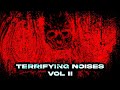 Bizarre and terrifying noises from the internet vol 2