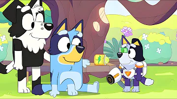 Bluey Had A Baby With Mackenzie?! Top 10 Moments From Bluey Season 3!