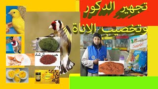 كيف اجهز الدكور؟ و خصوبة الاناة