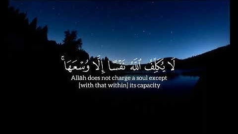 أمن الرسول بما انزل اليه | مع القارئ الشهيد صالح الجعفراوي | تلاوة هادئه تريح القلب #أكسبلور 