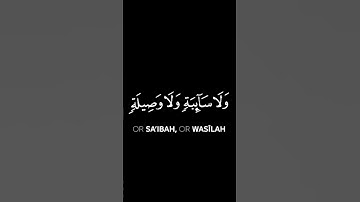 سعود الشريم - سورة المائدة