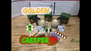 Is The Golden Creeper Real!? MINECRAFT Mine Kit | Part 12