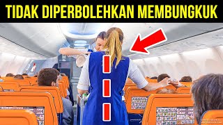 Download Lagu 101 Fakta Acak untuk Mengisi Otak Anda MP3 Download Lagu 101 Fakta Acak untuk Mengisi Otak Anda MP3