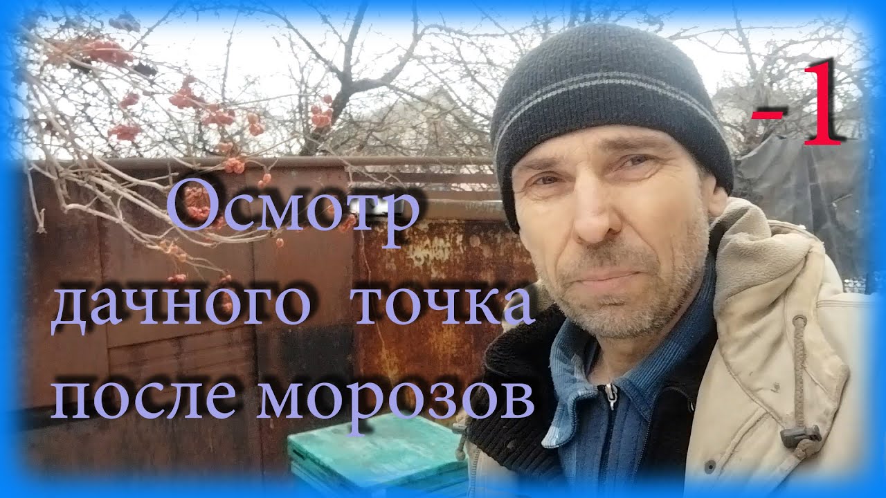 Осмотр пчел на даче после морозов. - YouTube