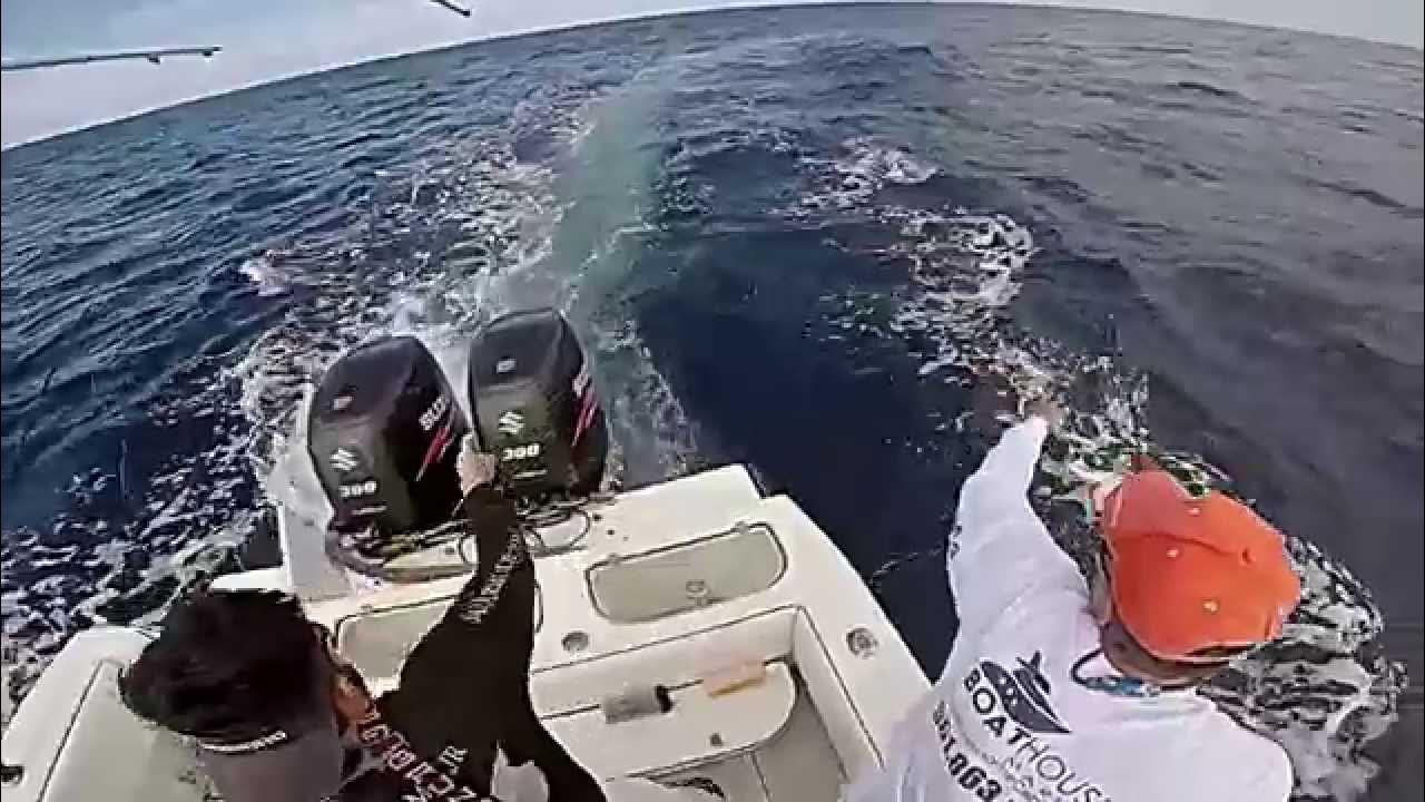 Walkers Cay Fishing High Speed trolling Wahoo, Deep Dropping Queens