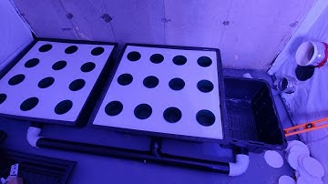 How To  Build a Diy Rdwc Tray System  part#2