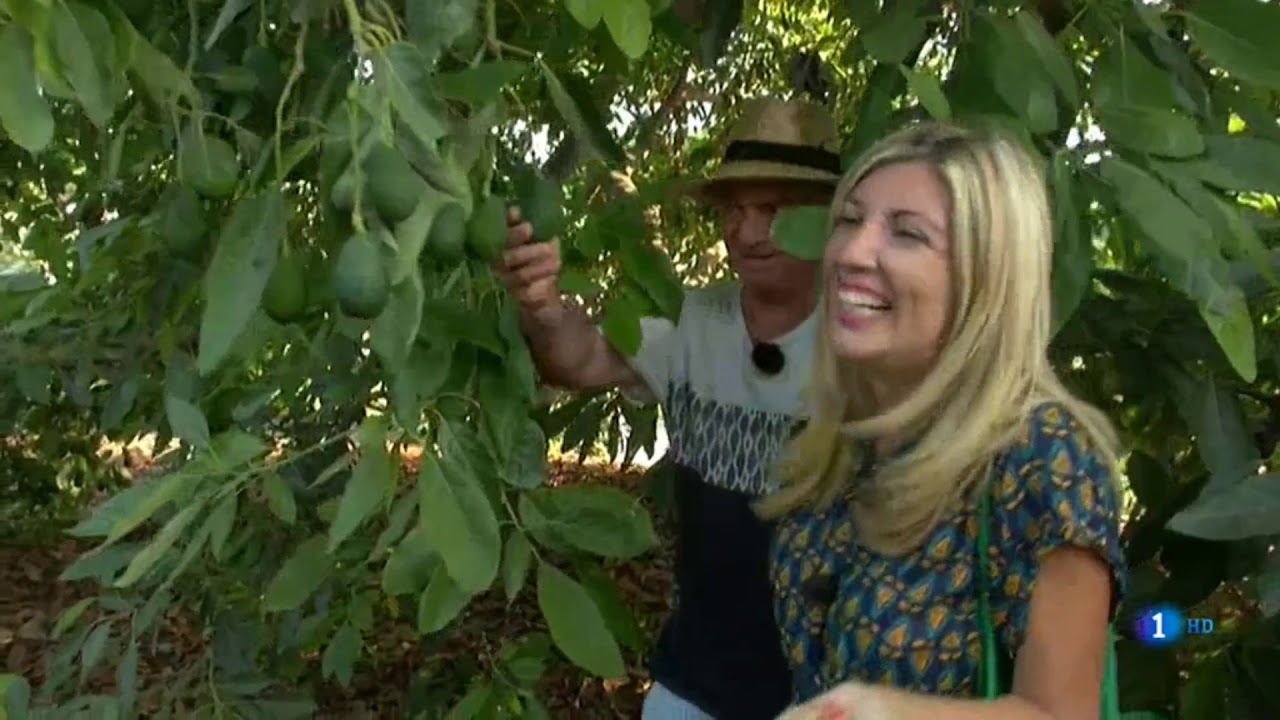 Frigiliana en Aquí la Tierra de RTVE