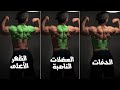 مجاميع الظهر الثلاث 