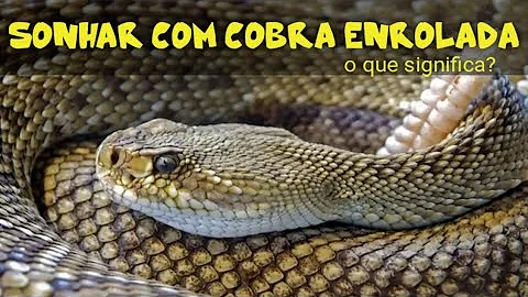 O que quer dizer uma cobra em seu caminho?