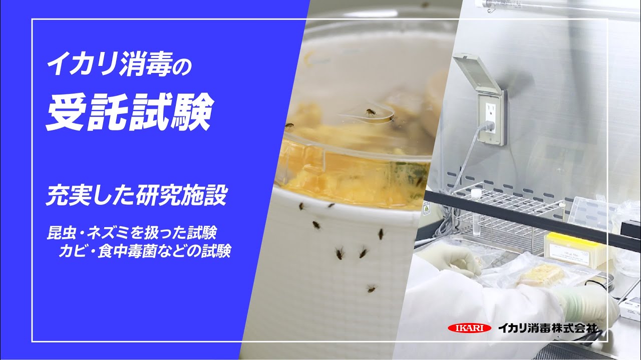 aiフィルター イカリ消毒 _ とおさないフィルター 防虫 – ASEKJ