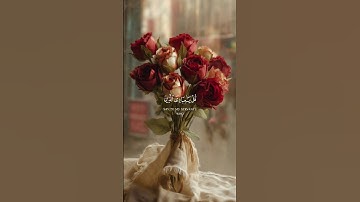 ارح سمعك و قلبك 🤍 قرآن كريم 🤍 اكتب شيئا تؤجر عليه 🤍