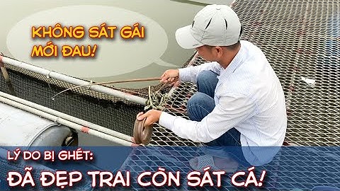Đây Là Lý Do Cao Thủ Hiệp Cox Câu Cá Ở Đâu Cũng Bị Ghét | Một Mình Câu Hết Đàn Cá Lăng Sông Hồng.