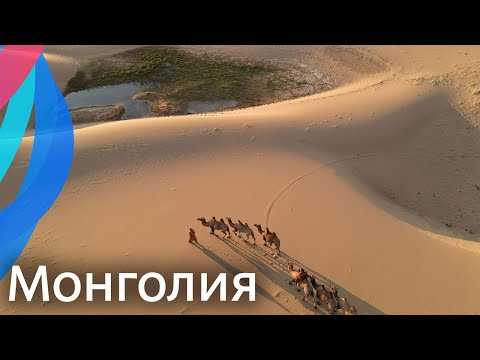 Видео: Колко безопасна е Монголия?