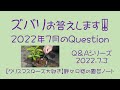 ズバリお答えします‼️ 2022年7月のQuestion