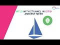 mTLS with ztunnel in Istio Ambient Mesh | ztunnel | Istio | Demo | IMESH