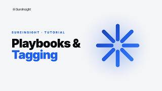 How to Build a Trading Playbook & Tag Your Trades | SureInsight