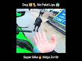 Dog ne pakd liya super bike  ninja zx10r by aamirmajid