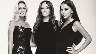 Семье Алиевых принадлежат как минимум 26 офшорных компаний Семье Алиевых принадлежат как минимум 26 офшорных компаний