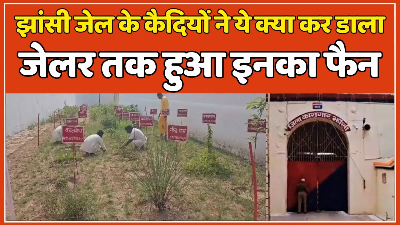 ⁣Jhansi Jail: झांसी जेल के कैदियों ने ये क्या कर डाला जो मच गई सनसनी | #local18