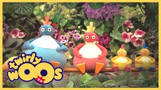 Twirlywoos Türkçe | Islanmak | Sezon 1 Bölüm 21 | Çocuklar İçin Çizgi Filmler