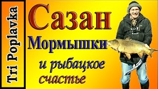 Сазан, мормышки и рыбацкое счастье.