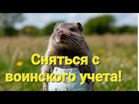 СНЯТЬСЯ с ВОИНСКОГО УЧЕТА. Документы, как, почему, спор с военкоматом. #военкомат