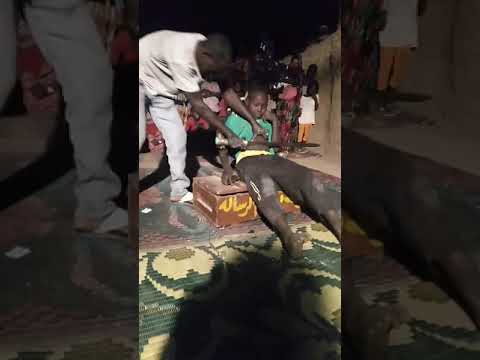 فرقه نجوم الرساله للتراث هوسا