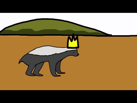 الحياة من وجهة نظر غرير عسل