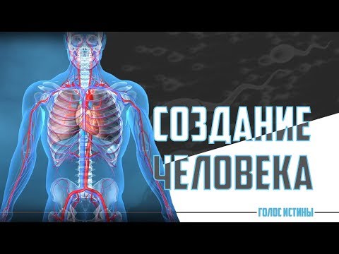 Создание человека | Научные чудеса Корана [5 выпуск] | Изд. \