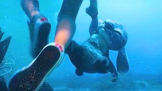 Download Lagu Lilo \u0026 Stitch (2025) | End Scene Recap | Stitch Drowns in Water | Full Recap MP3 Download Lagu Lilo \u0026 Stitch (2025) | End Scene Recap | Stitch Drowns in Water | Full Recap MP3