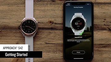 Support: Getting Started with Approach® S42
