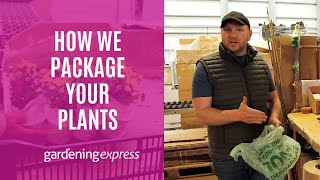 Packaging Your Plants for Safe Shipping  Gardening Express