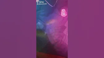 viva México cabrones 100% mexicano