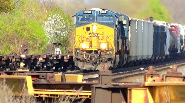Amtrak Chasing  a CSX  Freight Train