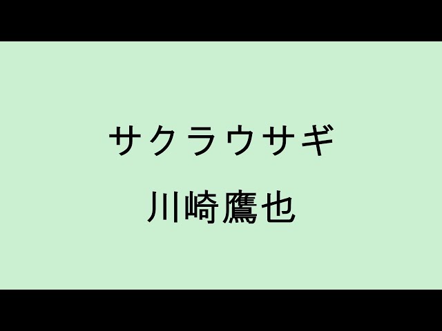 歌詞付き】サクラウサギ - 川崎鷹也 - YouTube
