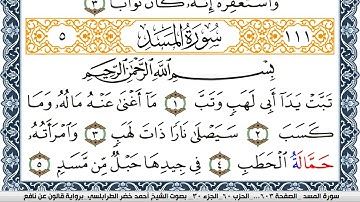 سورة المسد احمد الطرابلسي برواية قالون عن نافع Surah Al Masad