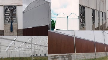 FAN AND PAD POLY HOUSE 9611111331 ZMR ZABI