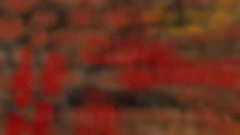 Wizkid joro official video