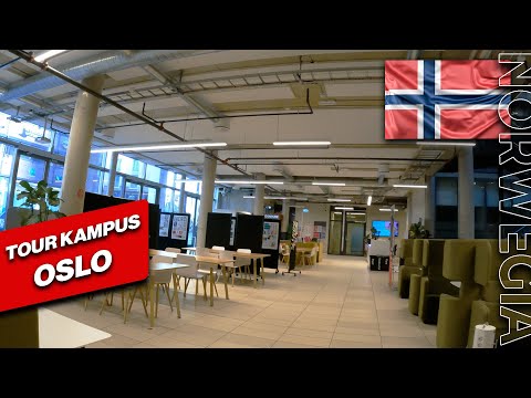 Video: Tempat Belanja di Oslo, Norwegia